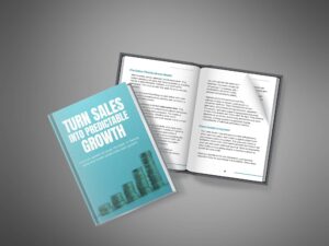 Turn-Sales-Into-Predictable-Growth---Ebook4.jpg